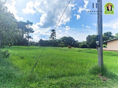 ที่นาแปลงสวยรูปทรงสี่เหลี่ยมด้านขนาน