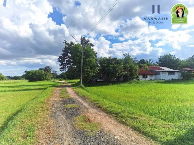 ที่นาแปลงสวยรูปทรงสี่เหลี่ยมด้านขนาน