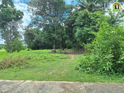 ที่นาผืนใหญ่ ใกล้แม่น้ำมูล เหมาะทำการเกษตร