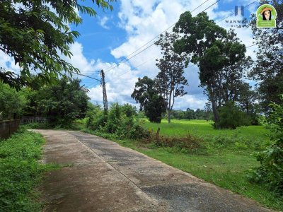 ที่นาผืนใหญ่ ใกล้แม่น้ำมูล เหมาะทำการเกษตร