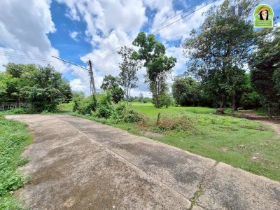 ที่นาผืนใหญ่ ใกล้แม่น้ำมูล เหมาะทำการเกษตร