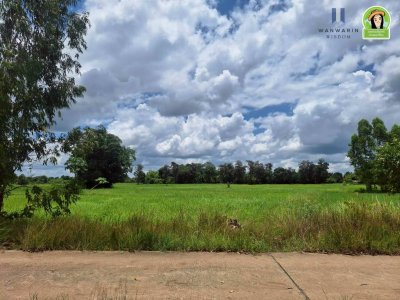 ที่นาผืนใหญ่ ใกล้แม่น้ำมูล เหมาะทำการเกษตร