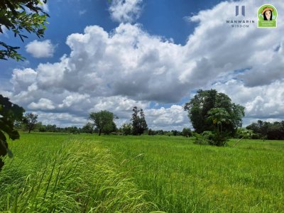 ที่นาผืนใหญ่ ใกล้แม่น้ำมูล เหมาะทำการเกษตร