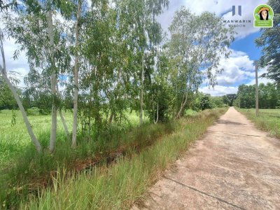 ที่นาผืนใหญ่ ใกล้แม่น้ำมูล เหมาะทำการเกษตร