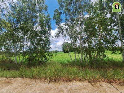 ที่นาผืนใหญ่ ใกล้แม่น้ำมูล เหมาะทำการเกษตร