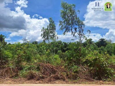 ที่ดินเปล่า แบ่งล็อค ใกล้ศูนย์พัฒนาเด็กเล็กบ้านหัวคำ ต.ขามใหญ่