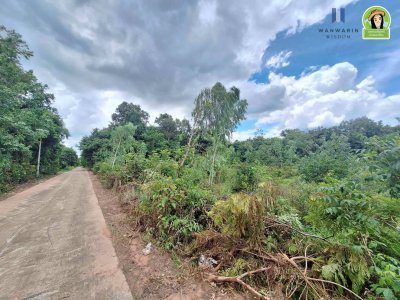 ที่ดินเปล่า แบ่งล็อค ใกล้ศูนย์พัฒนาเด็กเล็กบ้านหัวคำ ต.ขามใหญ่