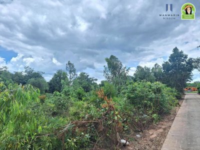 ที่ดินเปล่า แบ่งล็อค ใกล้ศูนย์พัฒนาเด็กเล็กบ้านหัวคำ ต.ขามใหญ่