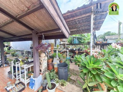 บ้านเดี่ยวชั้นเดียว ในซอยเสรี โซนดอนกลางทำเลหลังหัวมุม