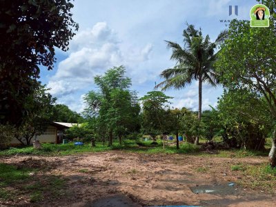 บ้านเดี่ยวพร้อมที่ดิน สไตล์บ้านสวน เนื้อที่เยอะ