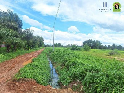 ที่ดินเปล่าแปลงสวย โซนวารินฯ ใกล้ ม.อุบลฯ