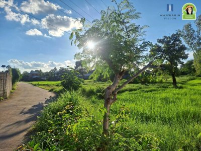 ที่ดินเปล่าแปลงยาว ในซอยสกุลเงิน ต.ขามใหญ่