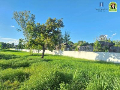 ที่ดินเปล่าแปลงยาว ในซอยสกุลเงิน ต.ขามใหญ่