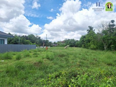 ที่ดินเปล่า แบ่งล็อค บ้านหัวคำ ทำเลดี อยู่ในแหล่งชุมชน มีเพื่อนบ้านแล้ว