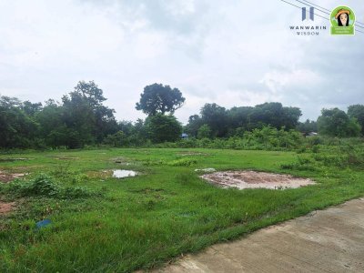 ที่ดินเปล่า ใกล้หนองจำนัก เหมาะสำหรับสร้างบ้าน