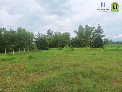 ที่ดินเปล่า ใกล้หนองจำนัก เหมาะสำหรับสร้างบ้าน