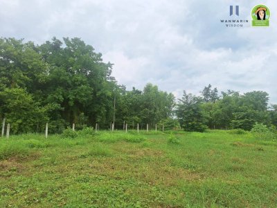 ที่ดินเปล่าแปลงสวย เคลียร์ริ่งพร้อมถมแล้ว ห่างจากถนนชยางกูรเพียง 1 กม