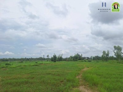 ที่ดินเปล่าแปลงสวย เคลียร์ริ่งพร้อมถมแล้ว ห่างจากถนนชยางกูรเพียง 1 กม