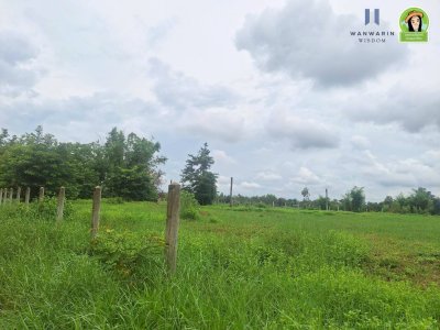 ที่ดินเปล่าแปลงสวย เคลียร์ริ่งพร้อมถมแล้ว ห่างจากถนนชยางกูรเพียง 1 กม