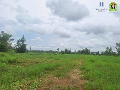 ที่ดินเปล่าแปลงสวย เคลียร์ริ่งพร้อมถมแล้ว ห่างจากถนนชยางกูรเพียง 1 กม
