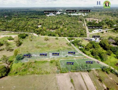 ที่ดินแบ่งล็อค ใกล้ ม.อุบลฯ ฝั่งประตู 4 ทำเลดีใกล้คาเฟ่