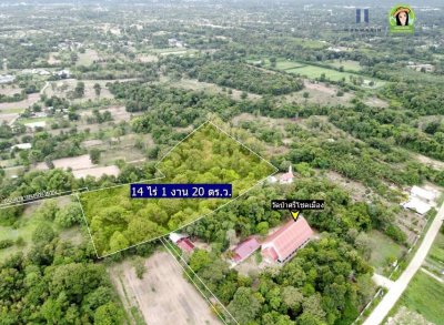 ที่ดินเปล่าแปลงใหญ่ หลังวัดป่าศรีโชคเมือง ต.ขามใหญ่