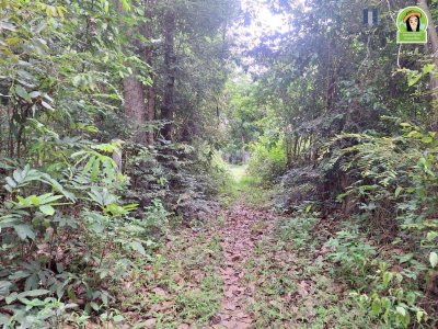 ที่ดินเปล่าแปลงใหญ่ หลังวัดป่าศรีโชคเมือง ต.ขามใหญ่