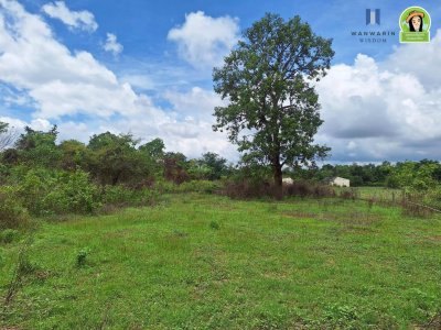 ที่ดินเปล่าโซนขามใหญ่ ใกล้หนองหัวลิง ใกล้ รพ.สต.ขามใหญ่