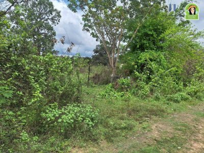 ที่ดินเปล่าโซนขามใหญ่ ใกล้หนองหัวลิง ใกล้ รพ.สต.ขามใหญ่