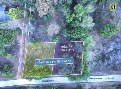 ที่ดินเปล่า ใน ต.ขี้เหล็ก จากถนนชยางกูรเข้ามาเพียง  3 นาที