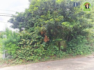 ที่ดินเปล่า โซนนาอุดม ต.ขามใหญ่