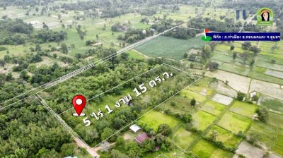 สวนยางแปลงใหญ่ในหมู่บ้านท่าเมือง ต.ท่าเมือง อ.ดอนมดแดง