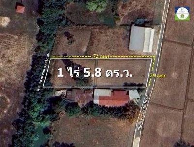 ที่นาแปลงสวยรูปทรงสี่เหลี่ยมด้านขนาน