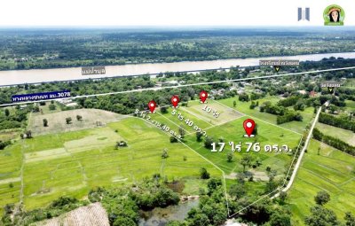 ที่นาผืนใหญ่ ใกล้แม่น้ำมูล เหมาะทำการเกษตร