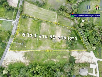 ที่ดินเปล่า โซนขามใหญ่ ติดถนนหลักเส้นหนองหว้า-บ้านหัวคำ