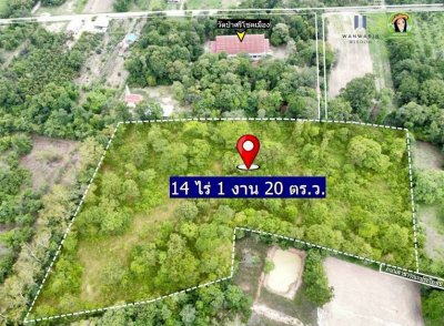 ที่ดินเปล่าแปลงใหญ่ หลังวัดป่าศรีโชคเมือง ต.ขามใหญ่