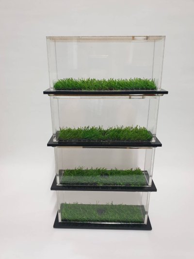 ฐานรางวัล ฐานรางวัล