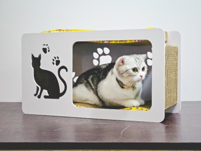 Cat House with Scratching Pad