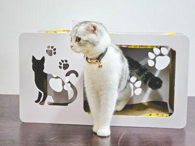 Cat House with Scratching Pad