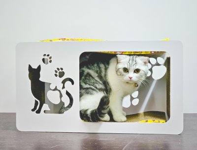 Cat House with Scratching Pad