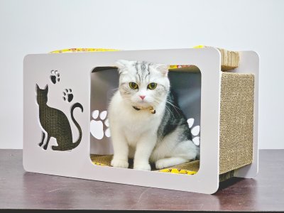 Cat House with Scratching Pad