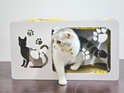 Cat House with Scratching Pad