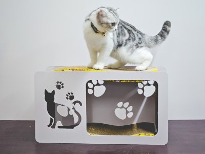 Cat House with Scratching Pad