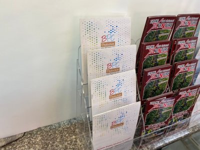 Acrylic brochure stand, clear brochure stand