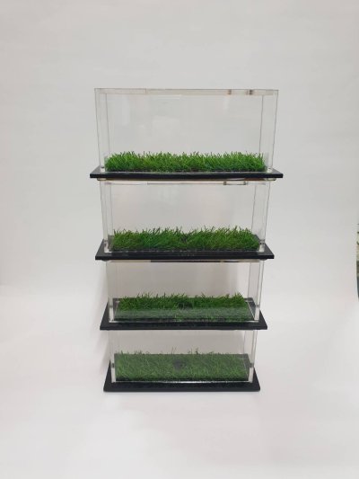 ฐานรางวัล ฐานรางวัล