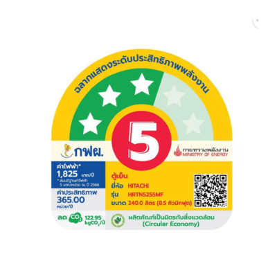 HITACHI ตู้เย็น 2 ประตู รุ่น HRTN5255MFBBKTH 8.5คิว อินเวอร์เตอร์