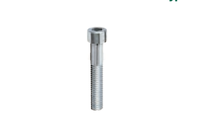 Socket Cap Screw Type IS