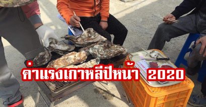 ค่าแรงเกาหลีปีหน้า (2020)