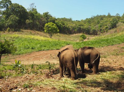 สรุปสาระสำคัญของแผนพัฒนาเศรษฐกิจและสังคมแห่งชาติฉบับที่ 12 เพื่อการเขียนโครงการและงานวิจัย