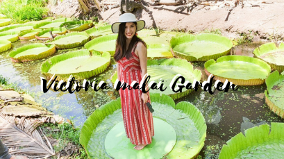 เที่ยวเชิงเกษตร เที่ยวสวนมาลัยวิคทอเรีย นนทบุรี